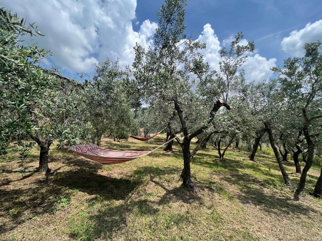 Bed and Breakfast Casa Della Noce Vinci Exterior foto
